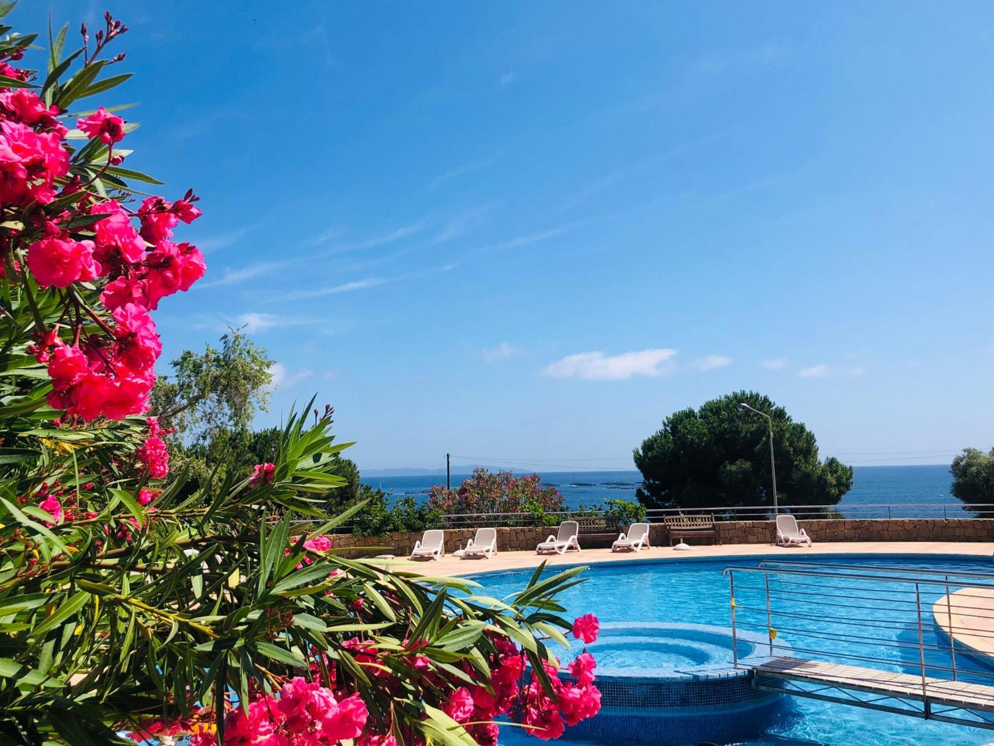Superbe T2 Vue Mer - Piscine & Plage A 100M อฌักซิโอ้ ภายนอก รูปภาพ
